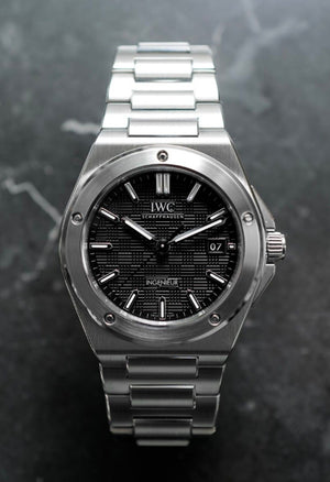 New Arrival